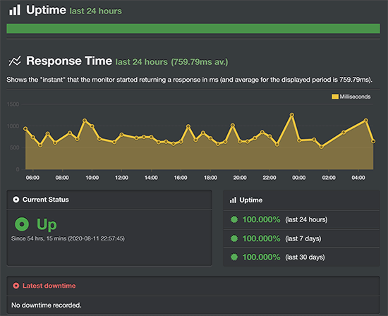 bluehost-uptime