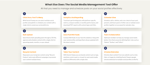 social champ overview